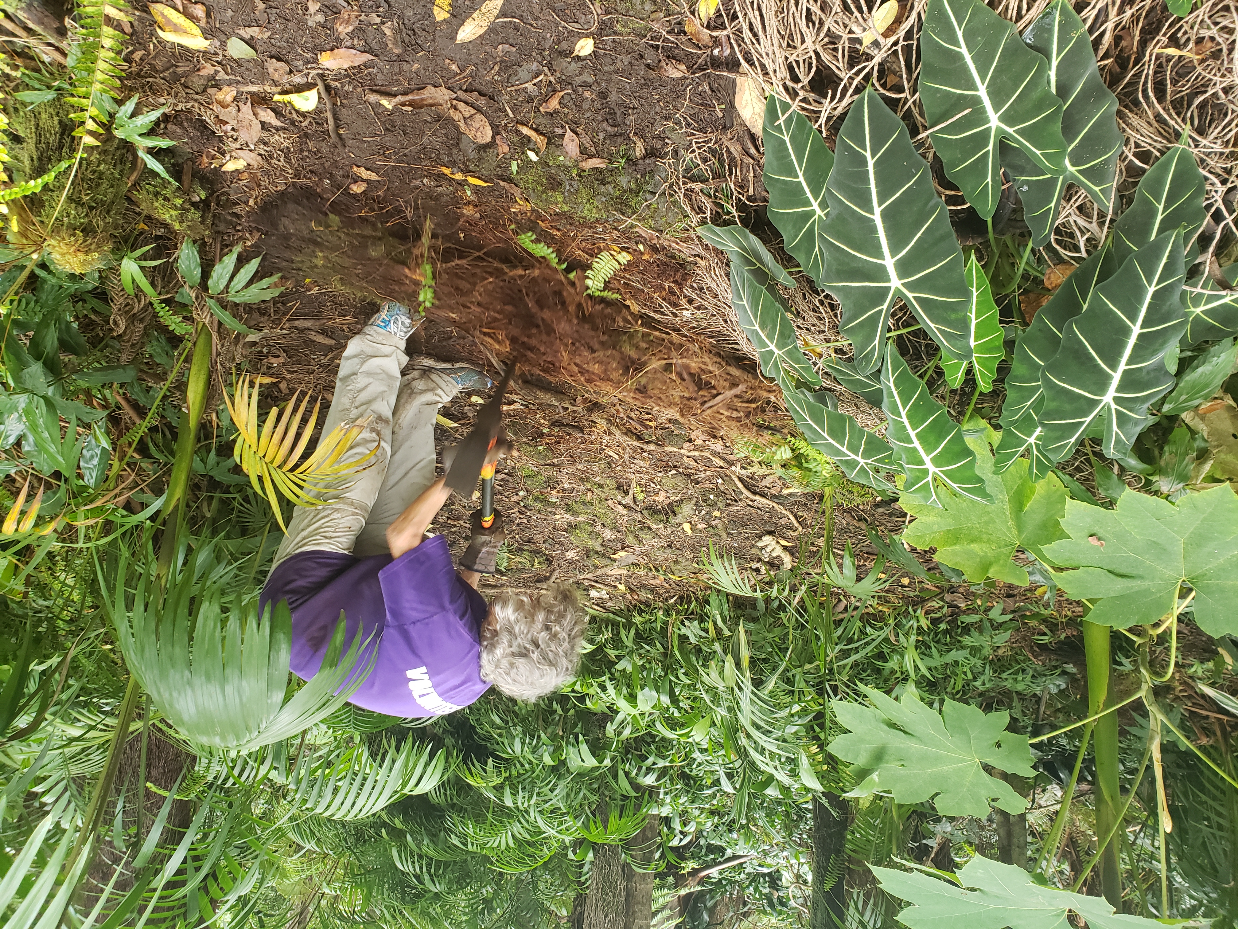 DrNancyMcQuade-20200226_110240